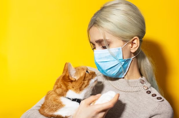 Симптомы аллергии на животных